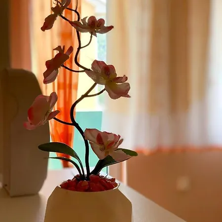 アパート Sunny Bulevar *